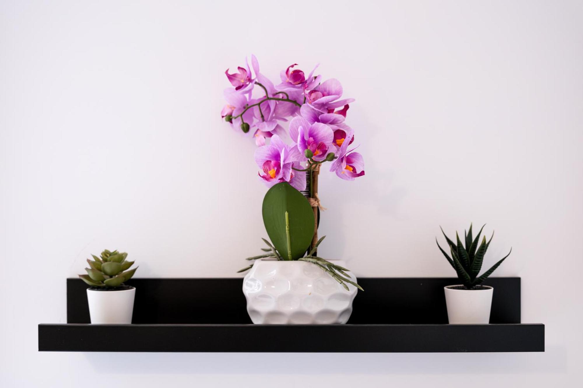 Soho Downtown Apartment ブダペスト エクステリア 写真